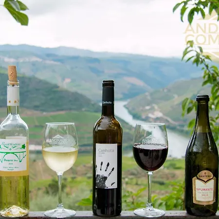 Casa Da Calcada * Pinhão