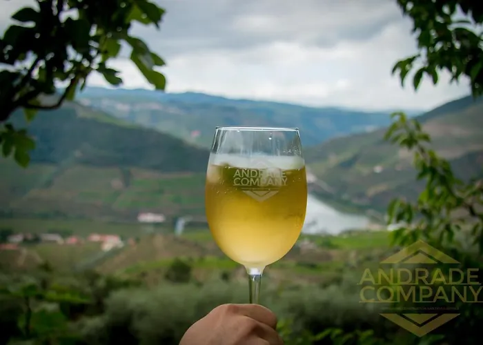 Pensión Solar Da Calcada